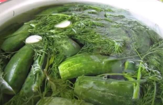Оригинальный рецепт малосольных огурцов на минеральной воде