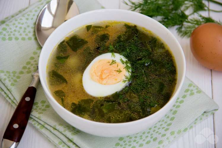 Зеленый борщ со шпинатом и яйцом