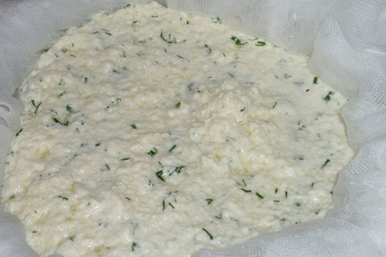 Домашний сыр с зеленью